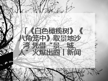 《白色橄榄树》《八角笼中》取景地沙湾 凭借“景、城、人”火爆出圈丨新闻发布最前线
