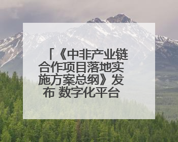 《中非产业链合作项目落地实施方案总纲》发布 数字化平台赋能非洲发展驶入快车道