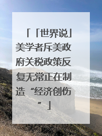 「世界说」美学者斥美政府关税政策反复无常正在制造“经济创伤”