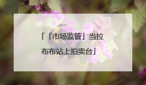 「市场监管」当拉布布站上拍卖台