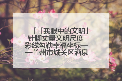 「我眼中的文明」针脚丈量文明尺度 彩线勾勒幸福坐标——兰州市城关区酒泉路街道办事处