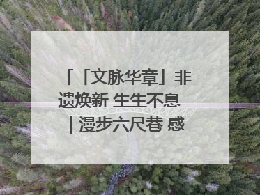 「文脉华章」非遗焕新 生生不息｜漫步六尺巷 感受礼让文化浸润的“巷”往生活