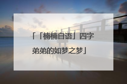 「楠楠自语」四字弟弟的如梦之梦