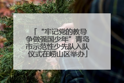 “牢记党的教导 争做强国少年”青岛市示范性少先队入队仪式在崂山区举办