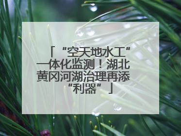 “空天地水工”一体化监测！湖北黄冈河湖治理再添“利器”