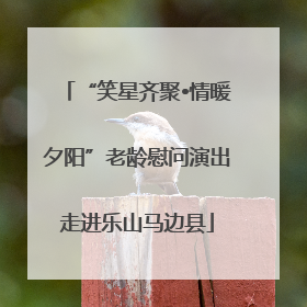 “笑星齐聚•情暖夕阳”老龄慰问演出走进乐山马边县