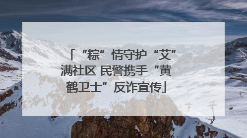 “粽”情守护“艾”满社区 民警携手“黄鹤卫士”反诈宣传