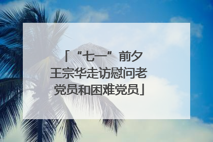 “七一”前夕 王宗华走访慰问老党员和困难党员