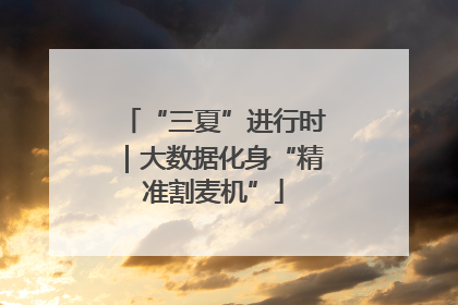 “三夏”进行时｜大数据化身“精准割麦机”
