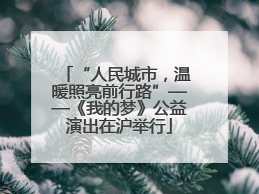 “人民城市，温暖照亮前行路”——《我的梦》公益演出在沪举行