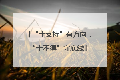 “十支持”有方向，“十不得”守底线