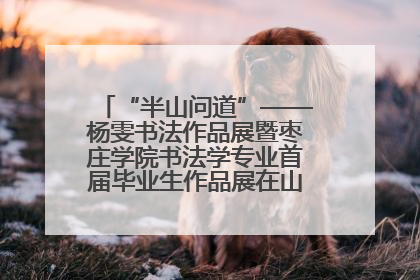 “半山问道”——杨雯书法作品展暨枣庄学院书法学专业首届毕业生作品展在山东省文化馆开幕