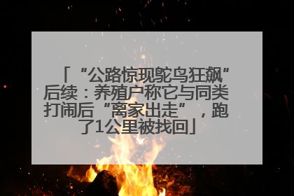 “公路惊现鸵鸟狂飙”后续：养殖户称它与同类打闹后“离家出走”，跑了1公里被找回
