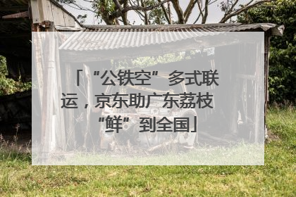 “公铁空”多式联运，京东助广东荔枝“鲜”到全国