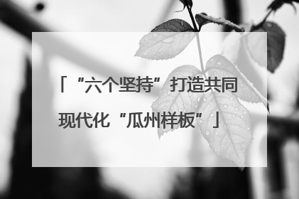 “六个坚持”打造共同现代化“瓜州样板”