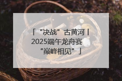 “决战”古黄河丨2025端午龙舟赛“巅峰相见”