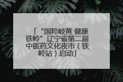 “国粹岐黄 健康铁岭”辽宁省第二届中医药文化夜市（铁岭站）启动