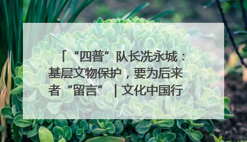 “四普”队长冼永城：基层文物保护，要为后来者“留言”｜文化中国行·我在广东找文物
