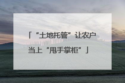 “土地托管”让农户当上“甩手掌柜”