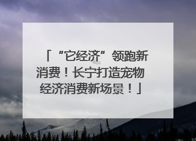 “它经济”领跑新消费！长宁打造宠物经济消费新场景！