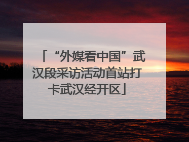 “外媒看中国”武汉段采访活动首站打卡武汉经开区