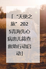“天使之旅”2025青海先心病患儿筛查救助行动启动