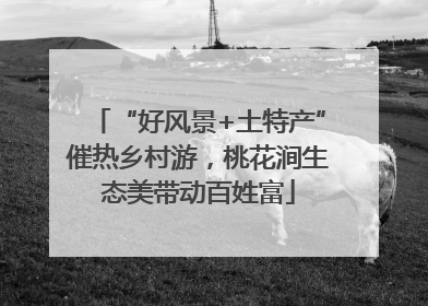 “好风景+土特产”催热乡村游，桃花涧生态美带动百姓富