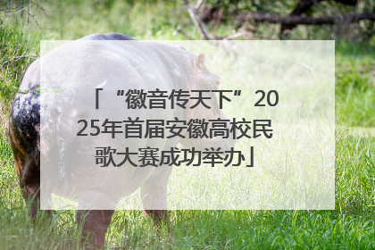 “徽音传天下”2025年首届安徽高校民歌大赛成功举办