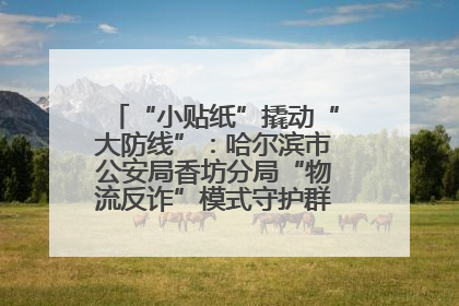 “小贴纸”撬动“大防线”：哈尔滨市公安局香坊分局“物流反诈”模式守护群众“钱袋子”