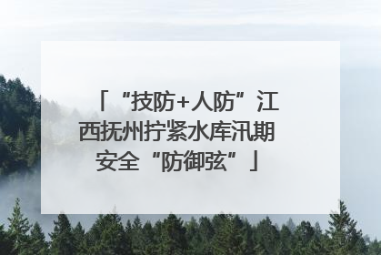 “技防+人防”江西抚州拧紧水库汛期安全“防御弦”