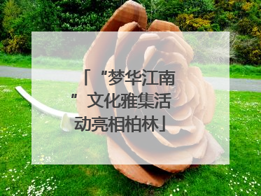 “梦华江南”文化雅集活动亮相柏林