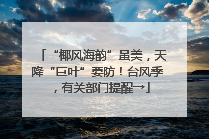 “椰风海韵”虽美，天降“巨叶”要防！台风季，有关部门提醒→