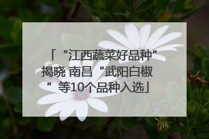 “江西蔬菜好品种”揭晓 南昌“武阳白椒”等10个品种入选