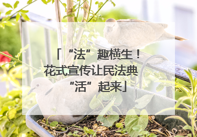 “法”趣横生！花式宣传让民法典“活”起来