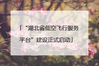 “湖北省低空飞行服务平台”建设正式启动