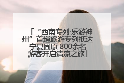 “西南专列·乐游神州”首趟旅游专列抵达宁夏固原 800余名游客开启清凉之旅
