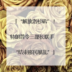“解放洛杉矶”！特朗普令三部长联手“结束移民暴乱”