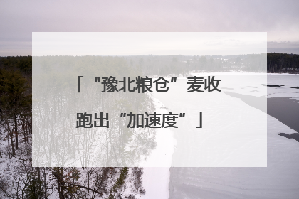 “豫北粮仓”麦收跑出“加速度”