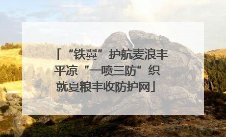 “铁翼”护航麦浪丰 平凉“一喷三防”织就夏粮丰收防护网