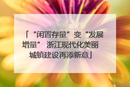 “闲置存量”变“发展增量” 浙江现代化美丽城镇建设再添新意