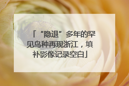 “隐退”多年的罕见鸟种再现浙江，填补影像记录空白
