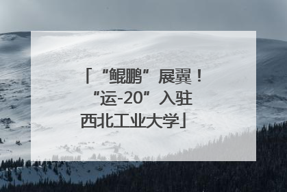 “鲲鹏”展翼！“运-20”入驻西北工业大学