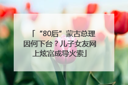 “80后”蒙古总理因何下台？儿子女友网上炫富成导火索