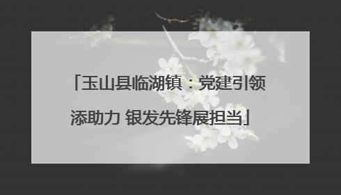 玉山县临湖镇：党建引领添助力 银发先锋展担当