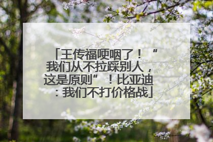 王传福哽咽了！“我们从不拉踩别人，这是原则”！比亚迪：我们不打价格战