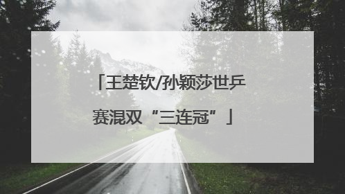 王楚钦/孙颖莎世乒赛混双“三连冠”