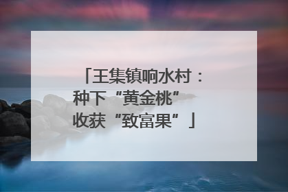 王集镇响水村：种下“黄金桃” 收获“致富果”