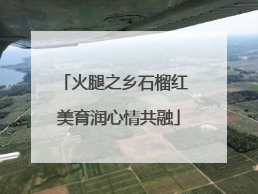 火腿之乡石榴红 美育润心情共融