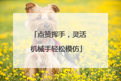 点赞挥手，灵活机械手轻松模仿