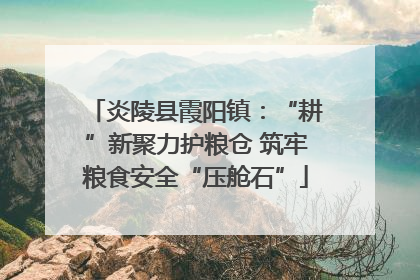 炎陵县霞阳镇：“耕”新聚力护粮仓 筑牢粮食安全“压舱石”